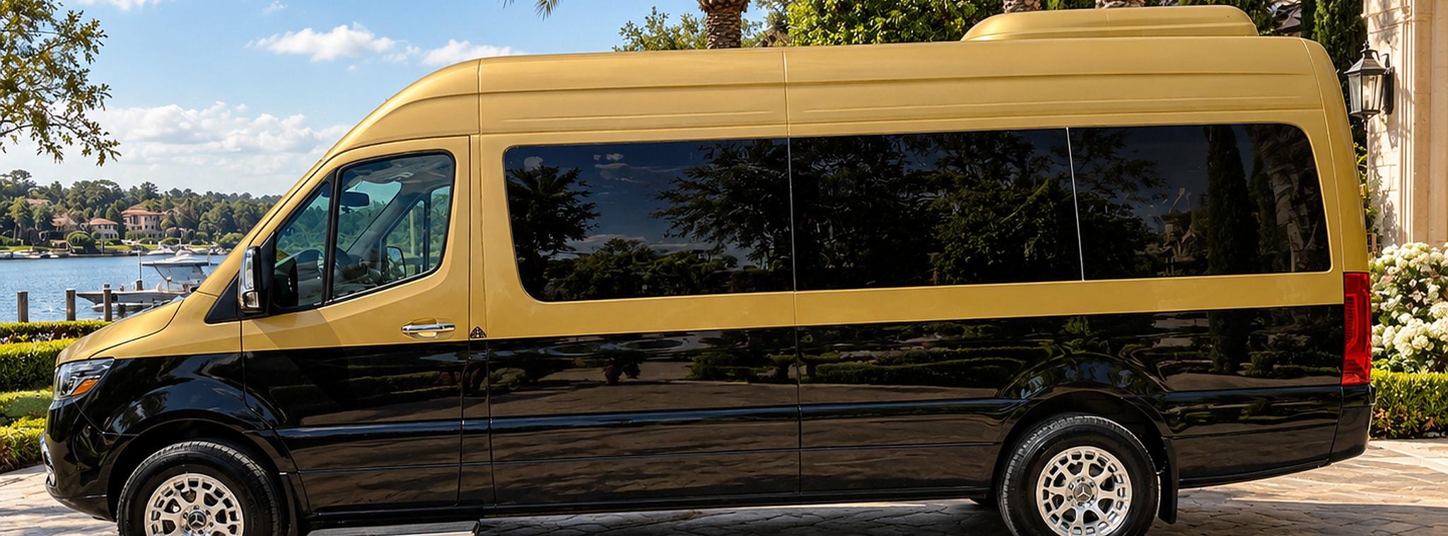 Maybach Sprinter — photo 1 of 6